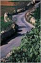 malta_0104.jpg
