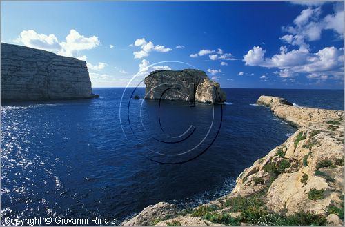 MALTA - GOZO ISLAND - Dwejra Bay - Fungus Rock