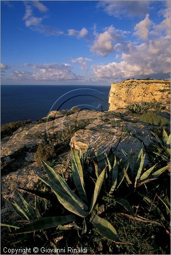 MALTA - GOZO ISLAND - le scogliere di Ta' Cenc sulla costa meridionale