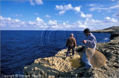 MALTA - GOZO ISLAND - la costa settentrionale presso Zebbug - Wied L-Ghasri