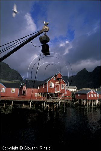 NORWAY - NORVEGIA - ISOLE LOFOTEN - Moskenes - il villaggio A con le tipiche rorbu (casette dei pescatori)