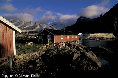 NORWAY - NORVEGIA - ISOLE LOFOTEN - Svolvaer - tipiche rorbu (case dei pescatori) - Svinoya Rourbuer in affitto
