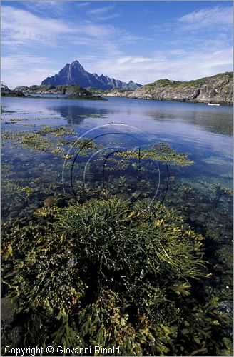 NORWAY - NORVEGIA - ISOLE LOFOTEN - Kabelvag - Storvagen - paesaggio della costa