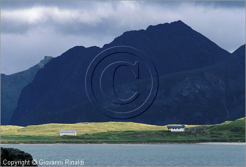 NORWAY - NORVEGIA - ISOLE LOFOTEN - Flakstad - paesaggio nel Torsfjorden