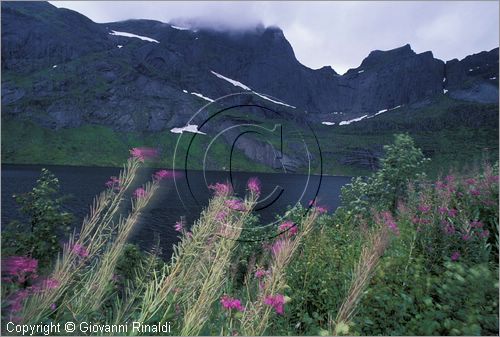 NORWAY - NORVEGIA - ISOLE LOFOTEN - Flakstad - lago Storvatnet