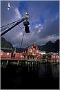 norvegia_lofoten0006.jpg