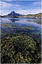 norvegia_lofoten0086.jpg