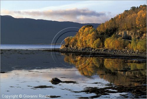 NORWAY - NORVEGIA - Alta - panorama autunnale sul Altafjorden