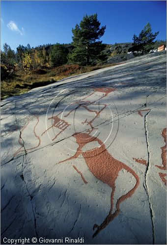 NORWAY - NORVEGIA - Alta - la zona delle incisioni rupestri