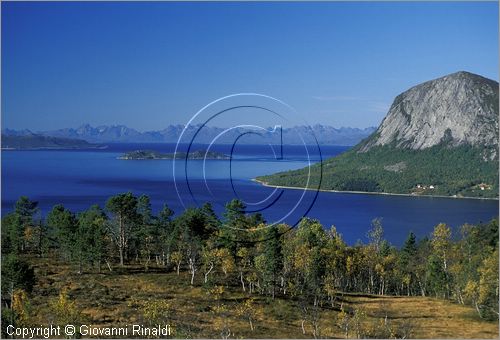 NORWAY - NORVEGIA - panorama sulla strada tra Narwik e Skarberget sul Tysfjorden