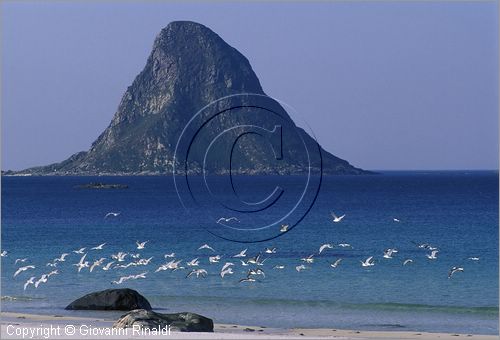 NORVEGIA - ISOLE VESTERALEN (Norway - Vesteralen) - Isola di Andoya - Bleik - la spiaggia