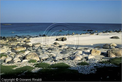 NORVEGIA - ISOLE VESTERALEN (Norway - Vesteralen) - Isola di Andoya - Bleik - la costa a sud del paese