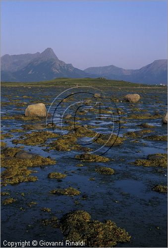 NORVEGIA - ISOLE VESTERALEN (Norway - Vesteralen) - Isola di Langoya - paesaggio nella riserva naturale di Grunnfjorden