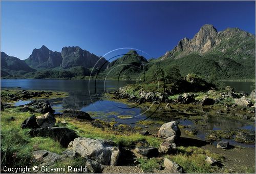 NORVEGIA - ISOLE VESTERALEN (Norway - Vesteralen) - Isola di Langoya - paesaggio sul Avenfjorden