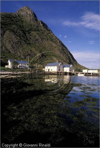 NORVEGIA - ISOLE VESTERALEN (Norway - Vesteralen) - Isola di Tindsoya - Tinden