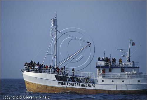 NORVEGIA - ISOLE VESTERALEN (Norway - Vesteralen) - Isola di Andoya - Andenes - nave per il whale safari