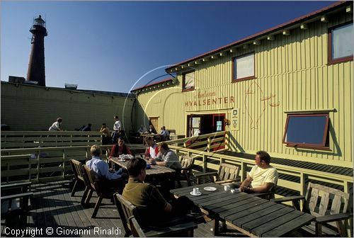NORVEGIA - ISOLE VESTERALEN (Norway - Vesteralen) - Isola di Andoya - Andenes - Whale Center