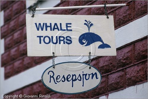NORVEGIA - ISOLE VESTERALEN (Norway - Vesteralen) - Isola di Langoya - Nyksund - Centro per il whale safari