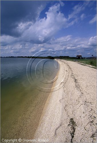 NETHERLANDS - OLANDA - Ijsselmeer (Zuiderzee) - Isola di Marken - la spiaggia presso il faro