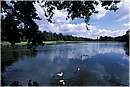 olanda_dehogeveluwe_0003.jpg