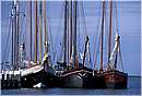 olanda_enkhuizen_0003.jpg