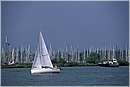 olanda_enkhuizen_0007.jpg