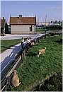 olanda_enkhuizen_0013.jpg