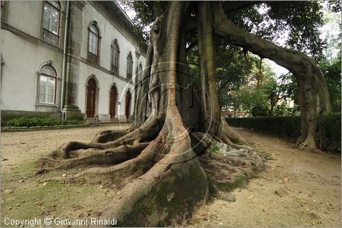 PORTUGAL - LISBON - LISBOA - PORTOGALLO - LISBONA - Jardim Botanico