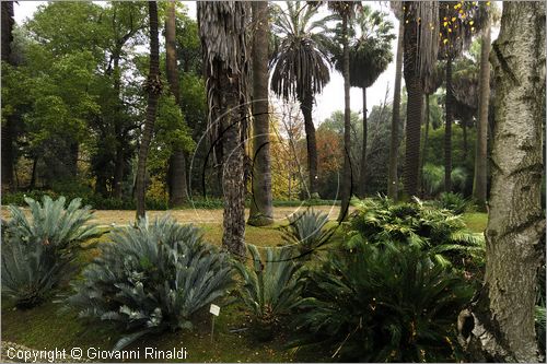 PORTUGAL - LISBON - LISBOA - PORTOGALLO - LISBONA - Jardim Botanico