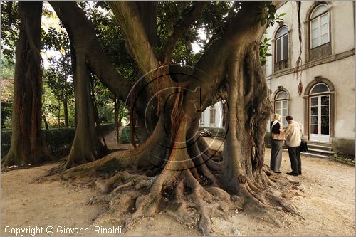 PORTUGAL - LISBON - LISBOA - PORTOGALLO - LISBONA - Jardim Botanico