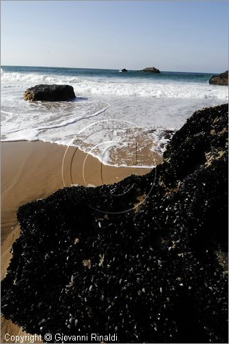 PORTUGAL - PORTOGALLO - PRAIA DA ADRAGA - spiaggia sulla costa occidentale a nord di Cabo da Roca