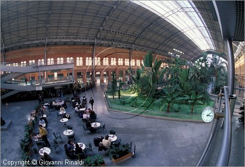 SPAIN - SPAGNA - MADRID - Stazione di Atocha - microclima tropicale