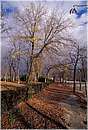 spagna_madrid_0012.jpg