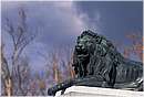 spagna_madrid_0040.jpg