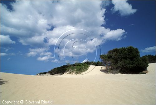 SPAIN - BALEARES MENORCA (Balearic - Minorca island) - Arenal de Son Saura presso Son Parc sulla costa sud-ovest