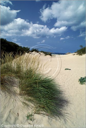 SPAIN - BALEARES MENORCA (Balearic - Minorca island) - Arenal de Son Saura presso Son Parc sulla costa sud-ovest