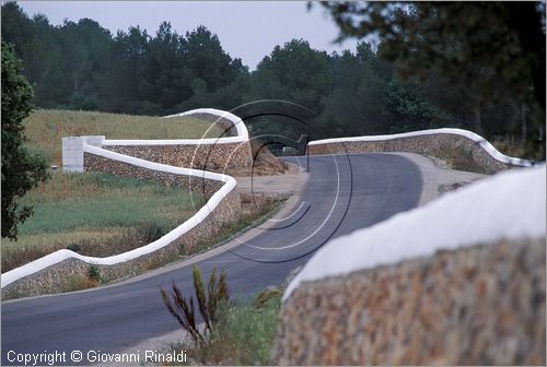 SPAIN - BALEARES MENORCA (Balearic - Minorca island) - tipici muretti nelle campagne