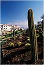 spagna_minorca0113.jpg
