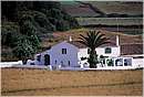 spagna_minorca0126.jpg