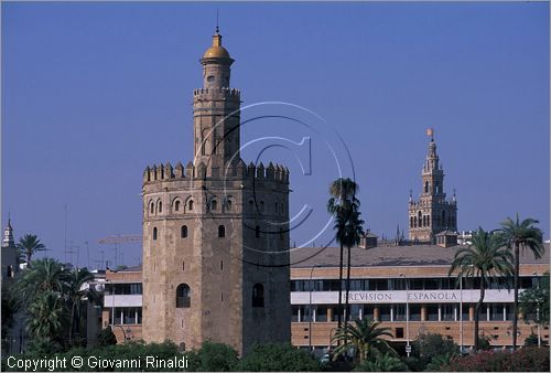 SPAIN - SIVIGLIA (SEVILLA) - veduta della Torre del Oro e la Giralda