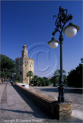 SPAIN - SIVIGLIA (SEVILLA) - veduta della Torre del Oro
