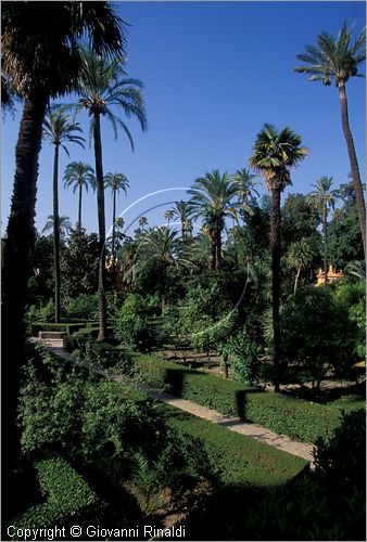 SPAIN - SIVIGLIA (SEVILLA) - Alcazar - Jardin de Las Damas