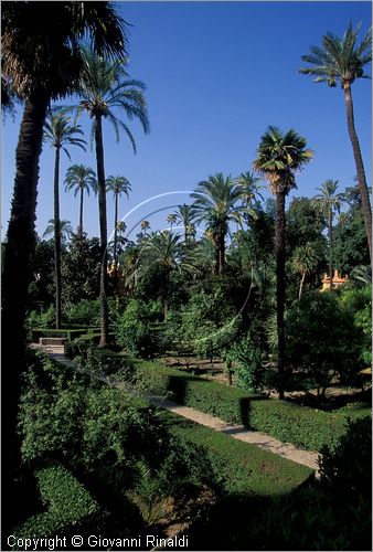 SPAIN - SIVIGLIA (SEVILLA) - Alcazar - Jardin de Las Damas