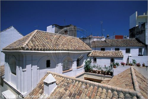 SPAIN - SIVIGLIA (SEVILLA) - Hotel Dona Maria