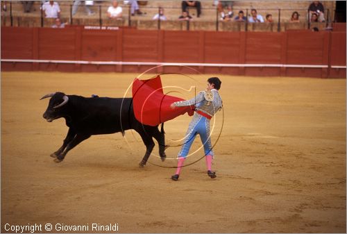 SPAIN - SIVIGLIA (SEVILLA) - Plaza de Toros de la Maestranza - la corrida