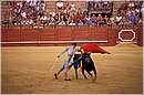 spagna_siviglia0160.jpg