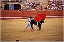 spagna_siviglia0161.jpg