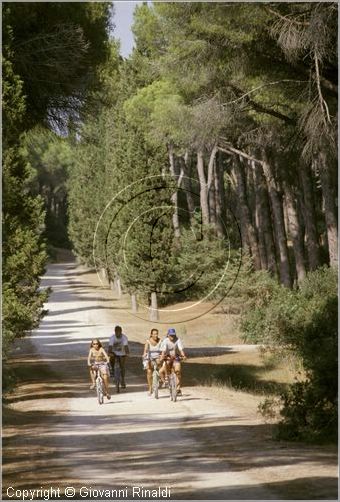 argentario0030.jpg