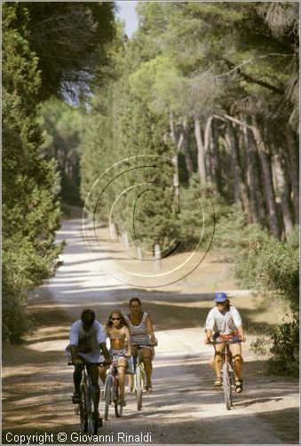 argentario0031.jpg