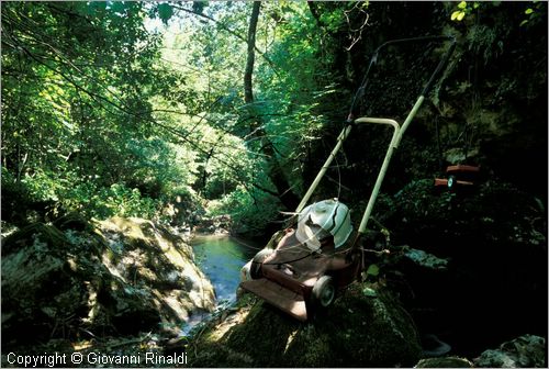 ITALY - CIVITELLA D'AGLIANO (VT) - Giardino delle sculture "La Serpara" di Paul Wiedmer & Jacqueline Dolder.
"Raduno di Tosaerbe" (2000) di Wilhelm Koch